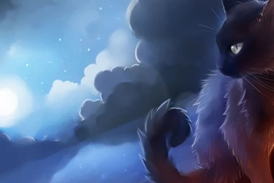 Black Cat iPad 1 & 2 Wallpapers