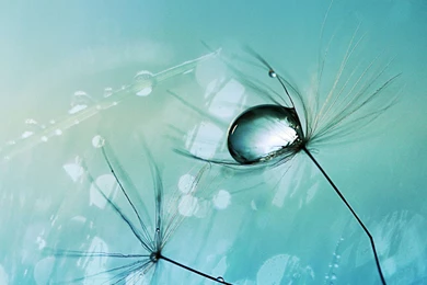 2560x1600px Galaxy Wallpapers HD Quality