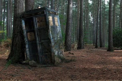 Abandoned TARDIS Doctor Who Trees Forest Phone Booth Wallpapers ...