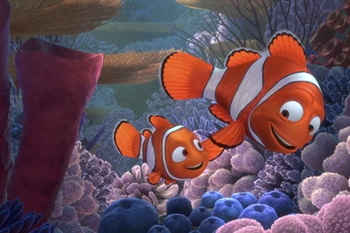 FINDING NEMO Animation Underwater Sea Ocean Tropical Fish ...