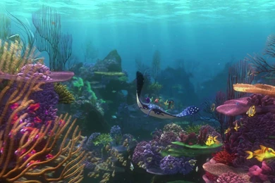 FINDING NEMO Animation Underwater Sea Ocean Tropical Fish ...