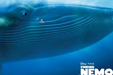 Finding Nemo iPad 1 & 2 Wallpapers