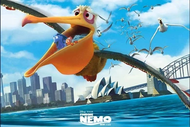 Finding Nemo Wallpapers Back To Finding Nemo Wallpapers