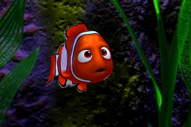 Wallpapers Jack Bauer ~ Elrinconcitodemaya