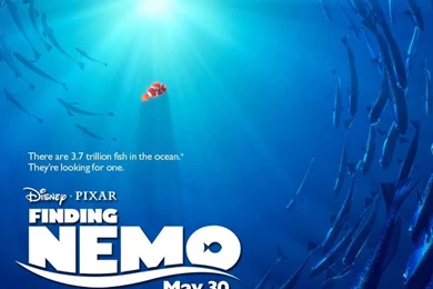 Finding Nemo Wallpapers HD Widescreen Attachment 4128 HD ...
