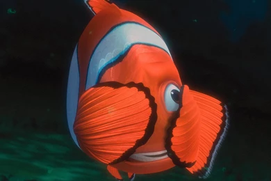 Finding Nemo Wallpapers   Wallpapers   Movie Extras   Movies ...