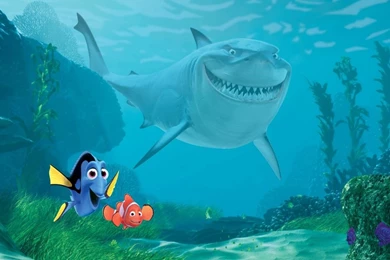 Finding Nemo Quotes Bruce   Album On Quotesvil.com