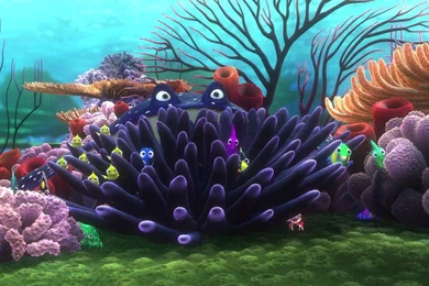 FINDING NEMO Animation Underwater Sea Ocean Tropical Fish ...