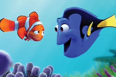 Marlin And Dory Finding Nemo Wallpapers (1003067) Fanpop