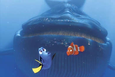 Finding Nemo Wallpapers   Finding Nemo Wallpapers (6248849)   Fanpop