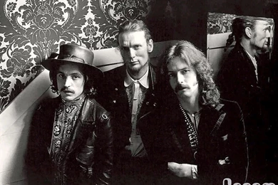 Gallery For   Cream Band Wallpapers