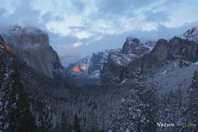 8th Page Of Desktop, Wildlife Wallpapers / Nature Wallpapers