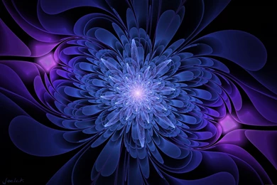 Black Backgrounds Blue And Serenevy Color Graphics Flower Wallpapers ...