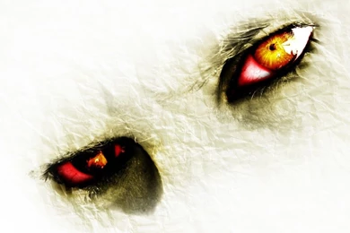 Wallpapers: New Cool Wallpapers