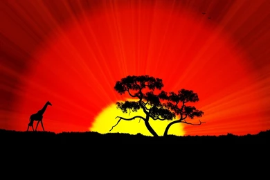 Africa Wallpapers Desktop