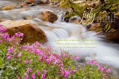 Crosscards Wallpapers