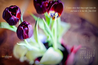 Impress Moment: MaRCH 2011 DeSKToP CaLeNDaR WaLLPaPeR