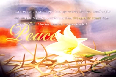 Crosscards Wallpapers