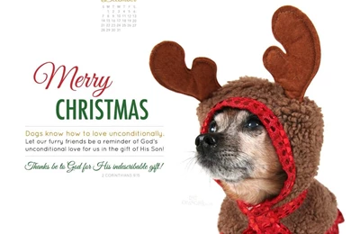 Christmas Dog Desktop Calendar Free Monthly Calendars Wallpapers ...