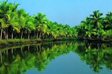 Download Kerala Scenery HD Wallpapers From 2015 Gallery