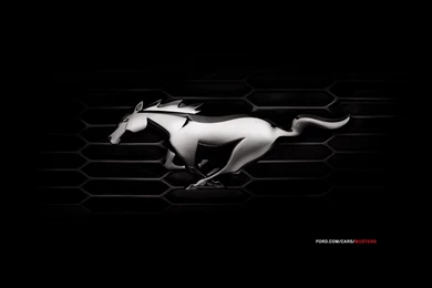 Ford Mustang 2014 Black Image