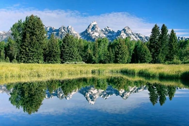 Stunning Scenery, Mountains, Lake, Plants, Trees, Water Reflection ...