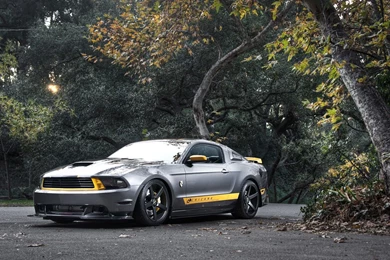 Download Ford Mustang RTR X Desktop Wallpapers HD