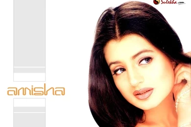 Amisha Patel Hindi Wallpaper, Amisha Patel Desktop Picture, Amisha ...
