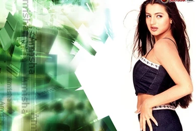 Amisha Patel Hindi Wallpaper, Amisha Patel Desktop Picture, Amisha ...