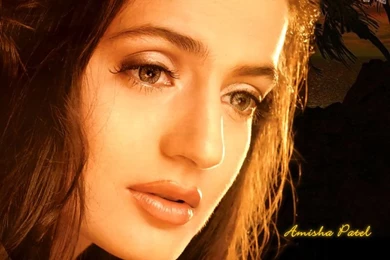 Ameesha Patel HD Wallpapers 457