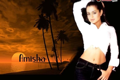 Amisha Patel Hindi Wallpaper, Amisha Patel Desktop Picture, Amisha ...