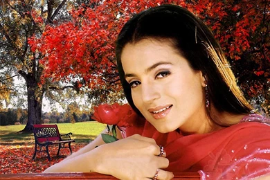 Amisha Patel Cute Photos