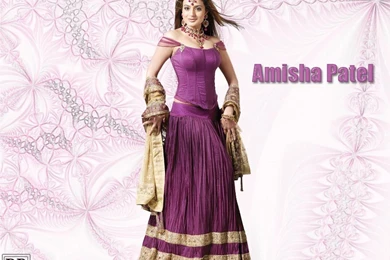 Amisha Patel Wallpapers   (1024x768) : Indya101.com