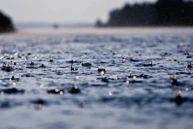 Rain Drops HD HD Desktop Wallpapers : High Definition : Fullscreen ...