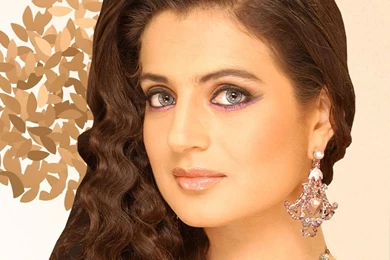 Wallpapers Amisha Patel   Wallpapers Pictures Gallery