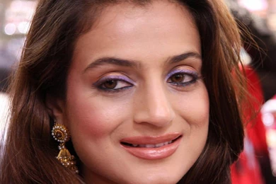 Top Picture: Amisha Patel Hd Wallpaper::Hollywood,Bollywood,Tamil ...