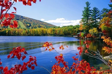 Nature Free Wallpapers   HD Wallpapers Lovely