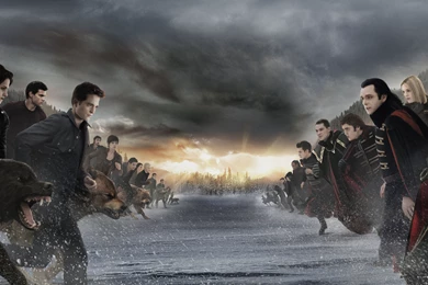 The twilight saga breaking Magic4Walls.com