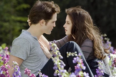 Edward Bella Twilight Breaking Dawn Part 2 Wallpapers