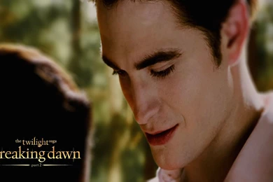 The Twilight Saga Breaking Dawn Part 2 wallpapers 3