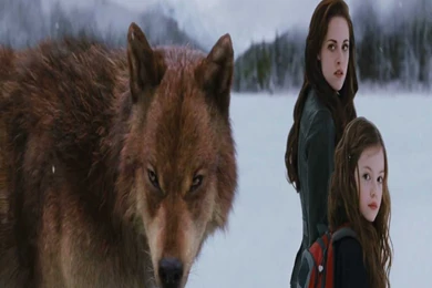 The Twilight Saga Breaking Dawn – Part 2 Movie Wallpapers