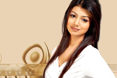 Ayesha Takia   Bollywood   Actress Wallpapers Download FREE (Page ...