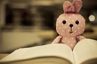 Cute, Bunny, Light, Soap, Bubbles, Cute, Hd Wallpaper, Photography