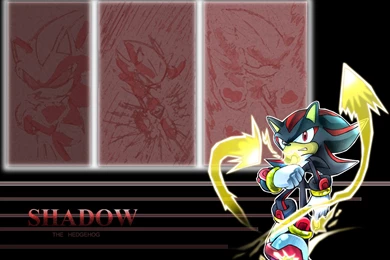 Shadow Wallpapers   Shadow The Hedgehog Wallpapers (26293941)   Fanpop