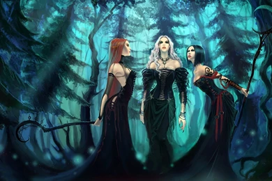 Witches In The Forest Wallpapers Fantasy Wallpapers