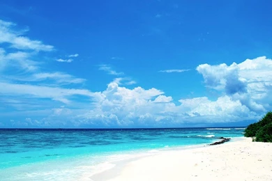 Beach HD Live Wallpapers   Android Apps And Tests   AndroidPIT