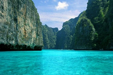 Desktop Wallpapers   91687