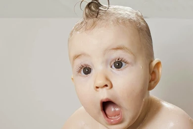 Winter Happy New Year 2015 Funny Wallpapers