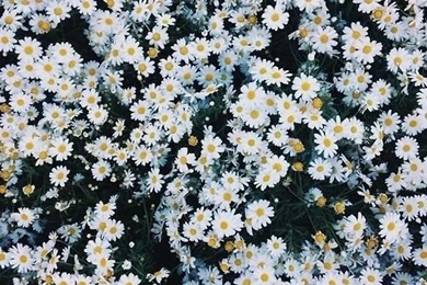 Love Photography Pretty Beauty Girl Cute Life Happy Fashion ...