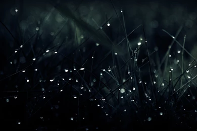 Best Wallpapers STAY072